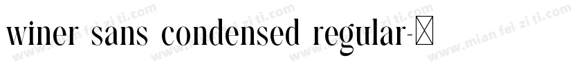winer sans condensed regular字体转换